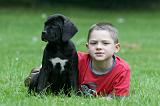 ENFANT ET CHIEN 494